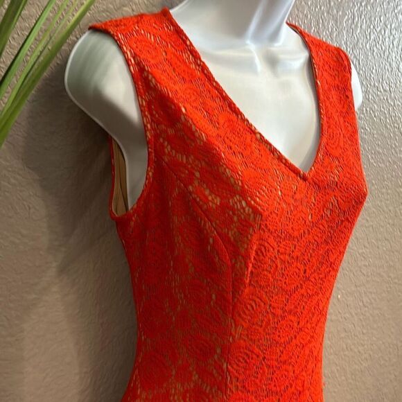 #450 black label Evan Picone, immediately orange/nude Lacey fit and flare size 4 - Picture 7 of 13